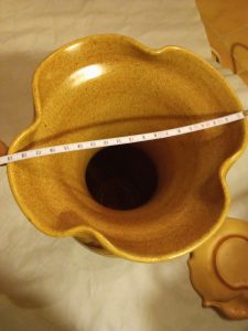 Image 1769082872994 225x300